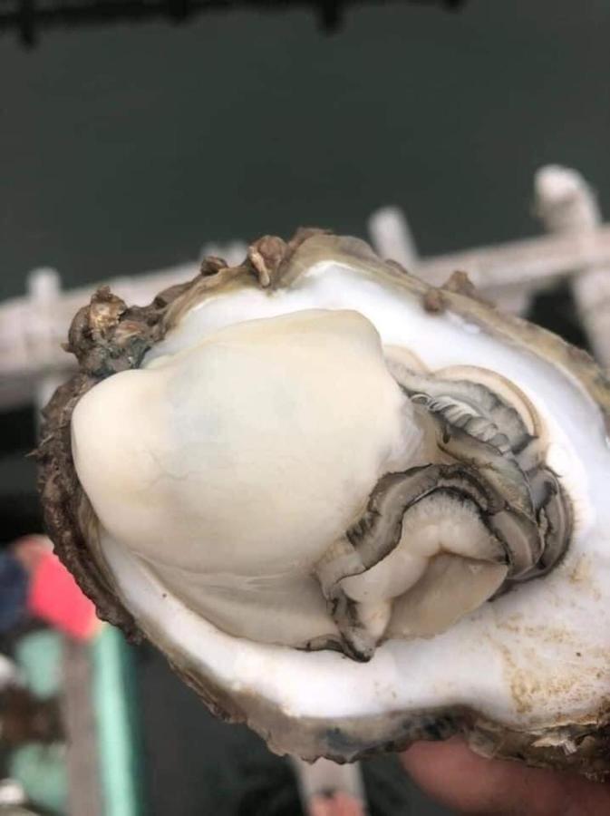 Hotel May Luxury 5 Sao Phú Quốc Eksteriør billede